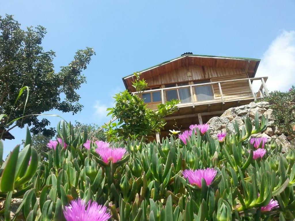Olive Garden Kabak 호텔 파랄리아 외부 사진