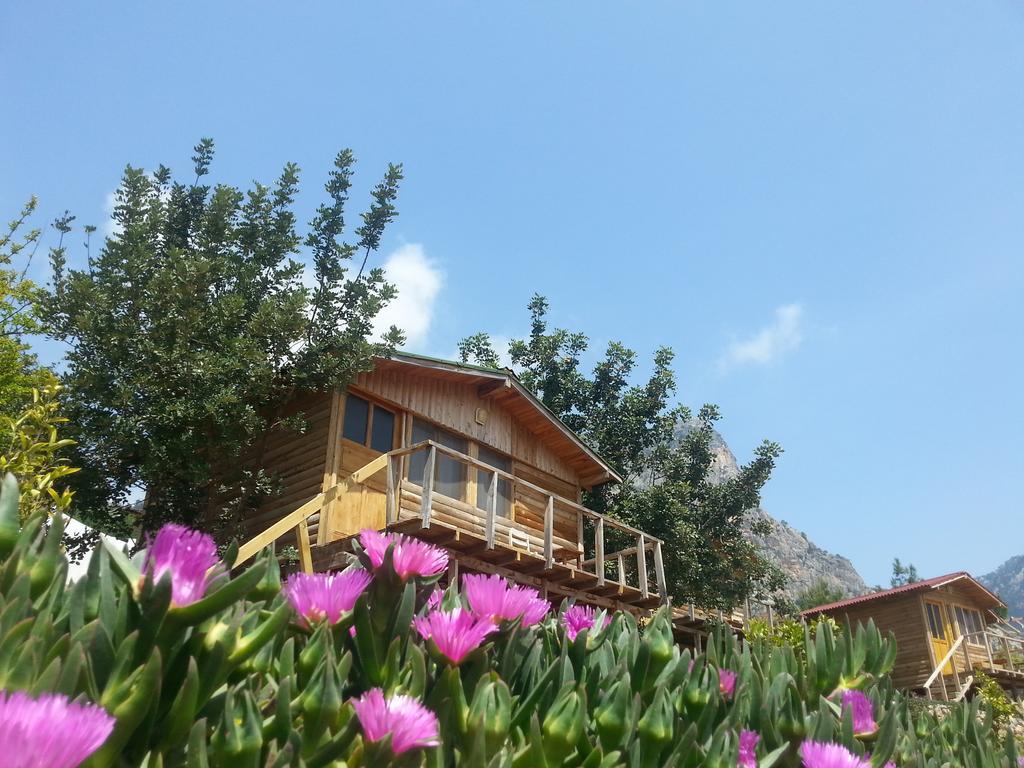 Olive Garden Kabak 호텔 파랄리아 외부 사진