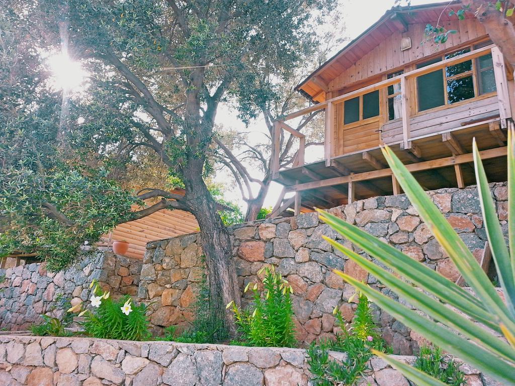 Olive Garden Kabak 호텔 파랄리아 외부 사진